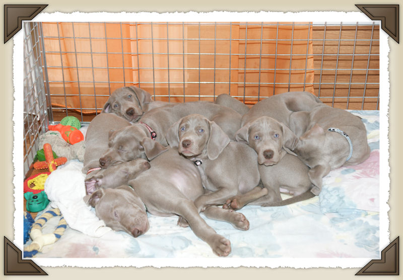 ostatnie chwile razem